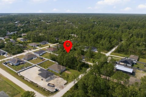 Land in DeLand, Florida № 2159145 - photo 2