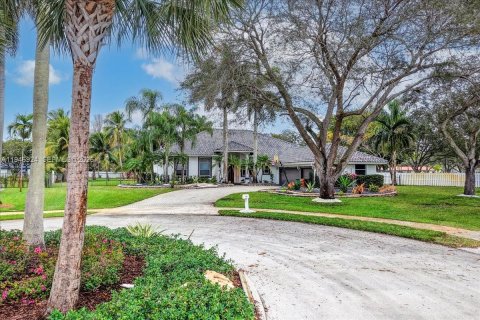 House in Davie, Florida 5 bedrooms, 384.24 sq.m. № 2003084 - photo 4