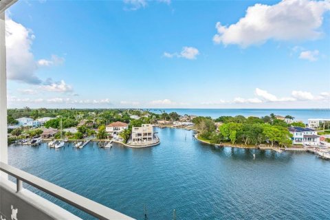 Condo in Saint Petersburg, Florida, 2 bedrooms  № 1886766 - photo 27