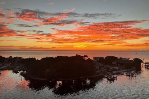 Condo in Saint Petersburg, Florida, 2 bedrooms  № 1886766 - photo 17