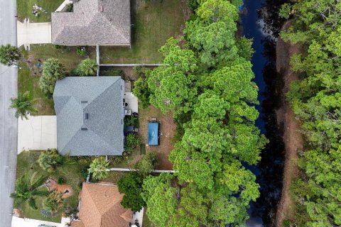 Villa ou maison à vendre à Palm Coast, Floride: 6 chambres, 366.03 m2 № 2430304 - photo 4
