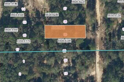 Land in Interlachen, Florida № 2234998