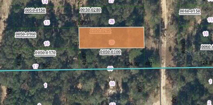 Land in Interlachen, Florida № 2234998