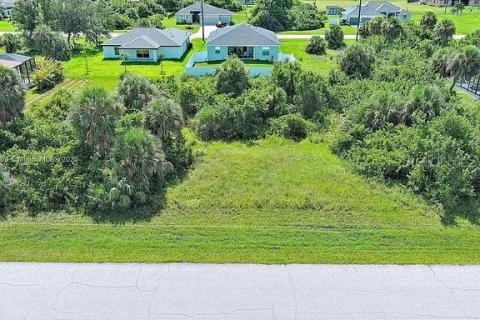 Land in Rotonda, Florida № 2164992 - photo 4