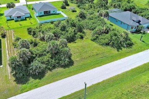 Land in Rotonda, Florida № 2164992 - photo 6