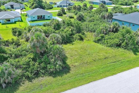 Land in Rotonda, Florida № 2164992 - photo 5