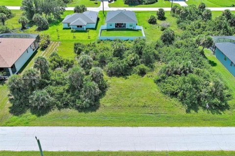 Land in Rotonda, Florida № 2164992 - photo 7