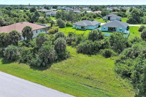 Land in Rotonda, Florida № 2164992 - photo 3