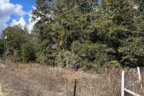 Terreno en Dunnellon, Florida № 2167749