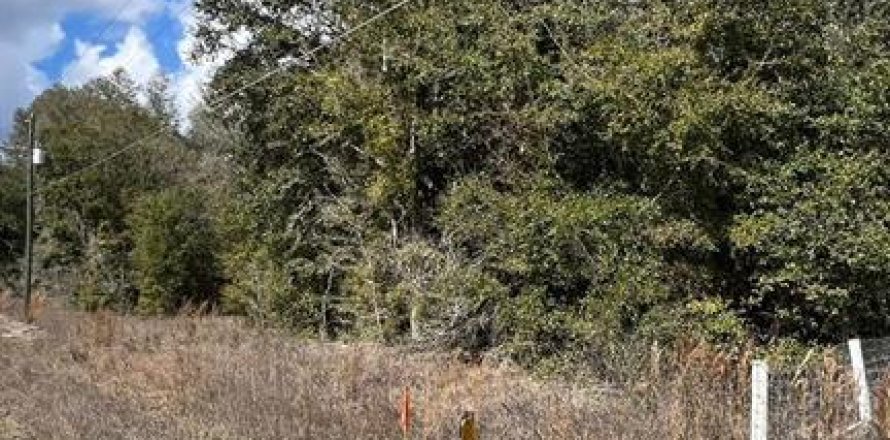 Terreno en Dunnellon, Florida № 2167749