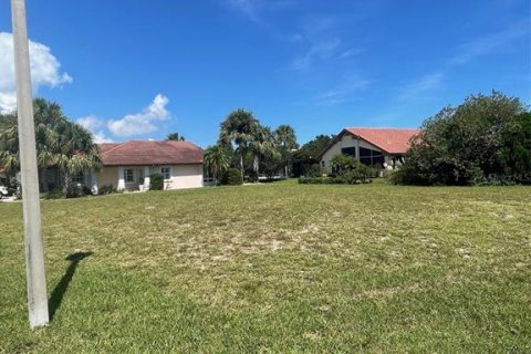 Land in Palm Coast, Florida № 2097047 - photo 7