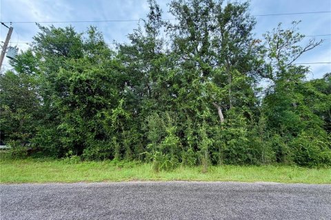 Land in Silver Springs Shores, Florida № 2280355