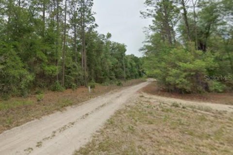 Land in Dunnellon, Florida № 2369243
