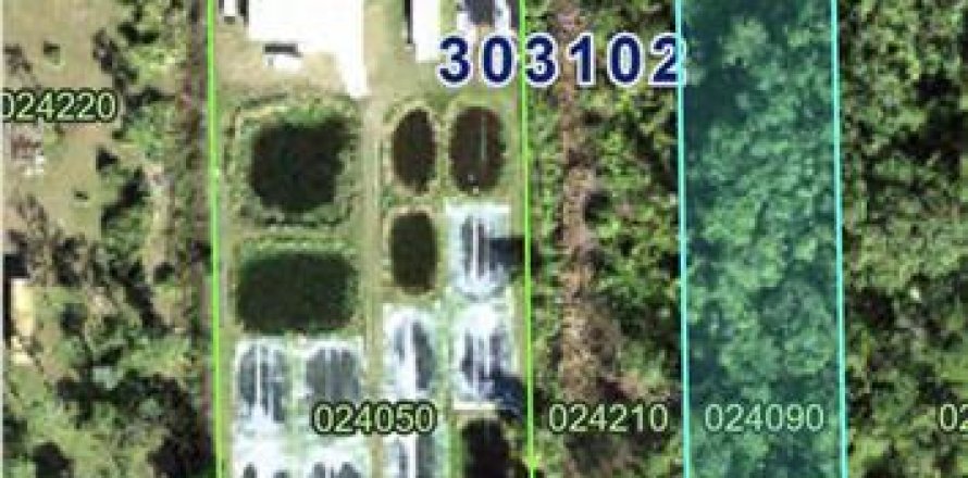Land in Lake Wales, Florida № 1615864