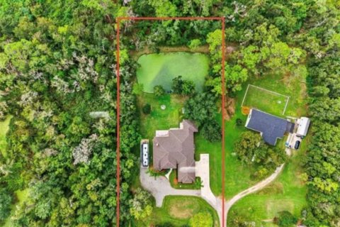 Villa ou maison à Dover, Floride 4 chambres, 313.82 m2 № 2096120
