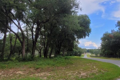 Land in Belleview, Florida № 1558432 - photo 8