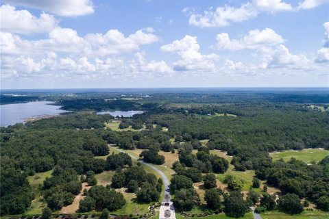 Land in Belleview, Florida № 1558432 - photo 10