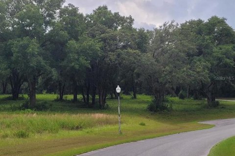 Land in Belleview, Florida № 1558432 - photo 9