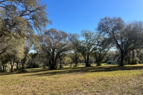 Land in Belleview, Florida № 1558432 - photo 7