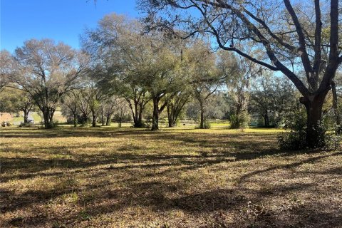 Land in Belleview, Florida № 1558432 - photo 5