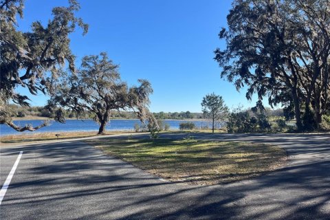 Land in Belleview, Florida № 1558432 - photo 11