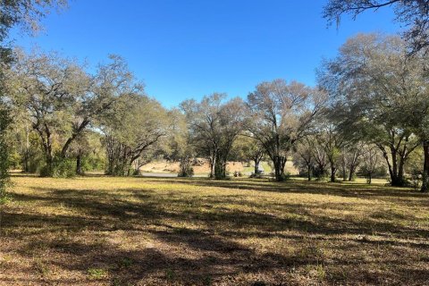 Land in Belleview, Florida № 1558432 - photo 6