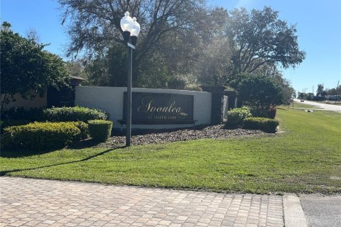 Land in Belleview, Florida № 1558432 - photo 4