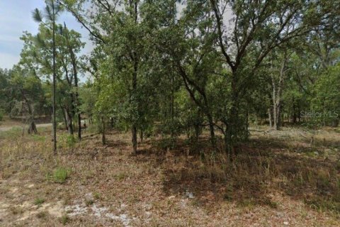 Land in Citrus Springs, Florida № 2163343