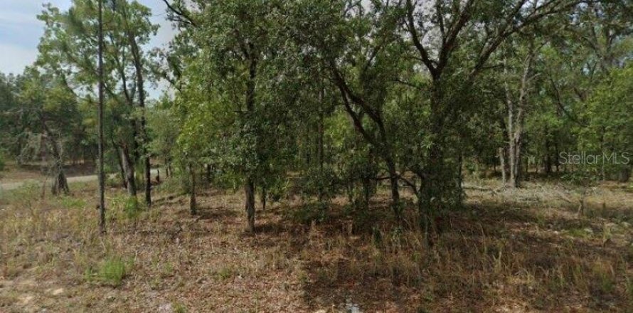 Land in Citrus Springs, Florida № 2163343