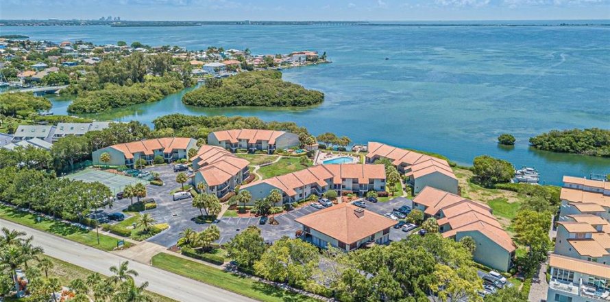 Condo à Tierra Verde, Floride, 2 chambres № 2220996