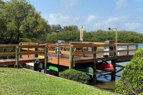 Copropriété à louer à Tierra Verde, Floride: 2 chambres, 77.57 m2 № 2220996 - photo 11