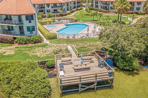 Copropriété à louer à Tierra Verde, Floride: 2 chambres, 77.57 m2 № 2220996 - photo 12