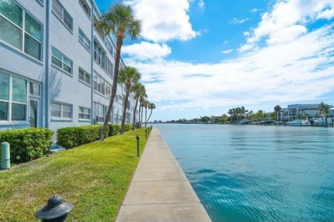 Copropriété à louer à Saint Pete Beach, Floride: 2 chambres, 125.42 m2 № 1847588 - photo 24