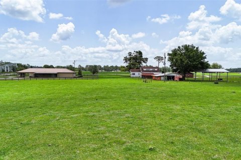 Casa en venta en Dade City, Florida, 7 dormitorios, 428.09 m2 № 1793454 - foto 14