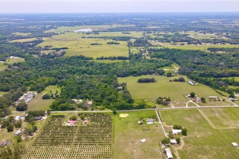 Casa en venta en Dade City, Florida, 7 dormitorios, 428.09 m2 № 1793454 - foto 2