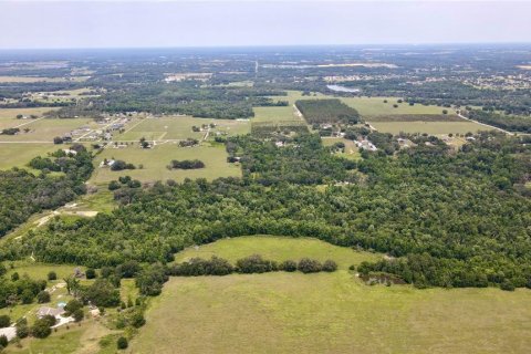 Casa en venta en Dade City, Florida, 7 dormitorios, 428.09 m2 № 1793454 - foto 7
