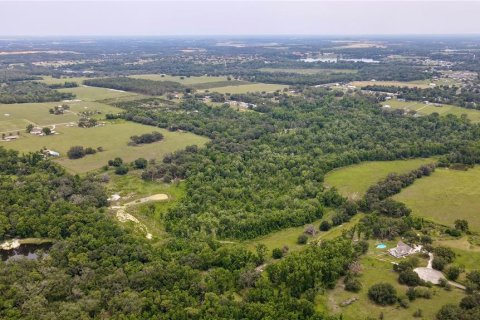 Casa en venta en Dade City, Florida, 7 dormitorios, 428.09 m2 № 1793454 - foto 8