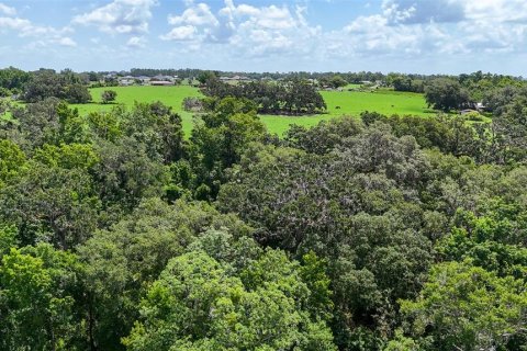 Casa en venta en Dade City, Florida, 7 dormitorios, 428.09 m2 № 1793454 - foto 10