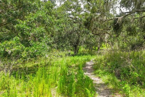 Casa en venta en Dade City, Florida, 7 dormitorios, 428.09 m2 № 1793454 - foto 11