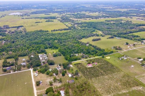 Casa en venta en Dade City, Florida, 7 dormitorios, 428.09 m2 № 1793454 - foto 3