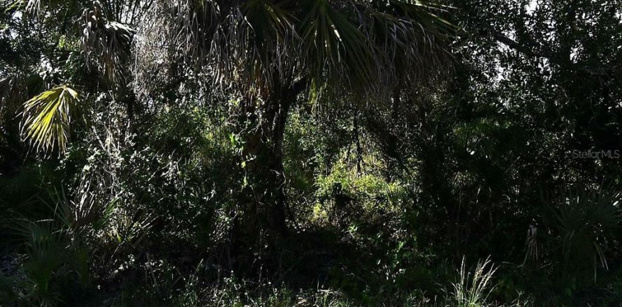 Terrain à North Port, Floride № 2258259