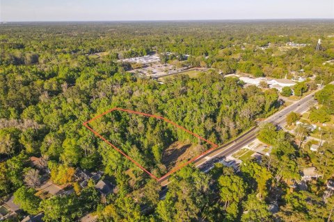 Land in Gainesville, Florida № 1613625 - photo 1