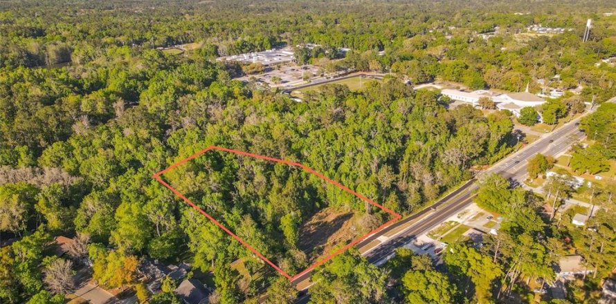 Land in Gainesville, Florida № 1613625