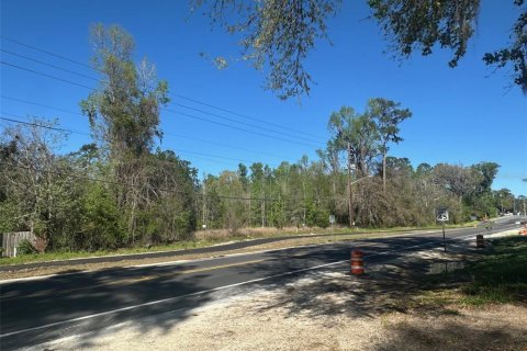 Land in Gainesville, Florida № 1613625 - photo 2