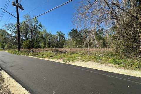 Land in Gainesville, Florida № 1613625 - photo 3