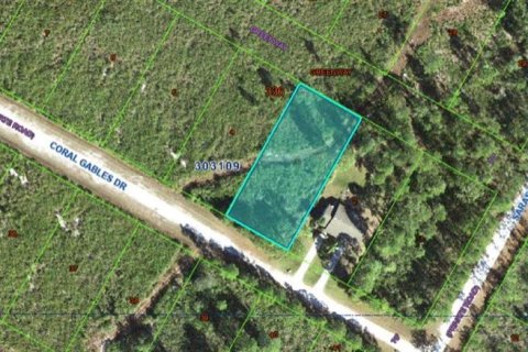 Land in Indian lake estates, Florida № 2161951 - photo 3