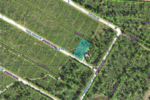 Land in Indian lake estates, Florida № 2161951