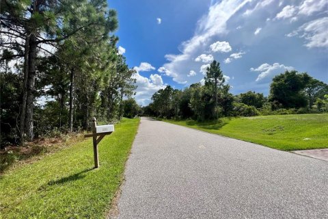 Land in Port Charlotte, Florida № 2160068 - photo 3