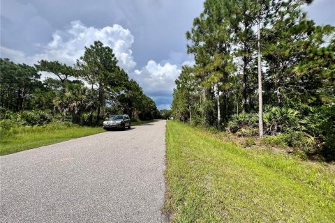 Land in Port Charlotte, Florida № 2160068 - photo 2