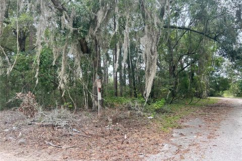 Terreno en venta en High Springs, Florida № 742911 - foto 1